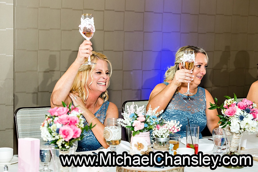 toasts at reception photographer